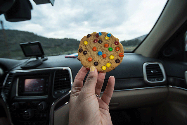 avoid eating in car